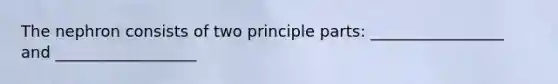 The nephron consists of two principle parts: _________________ and __________________
