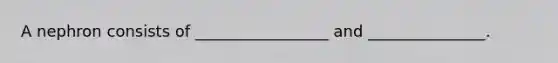 A nephron consists of _________________ and _______________.