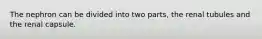 The nephron can be divided into two parts, the renal tubules and the renal capsule.