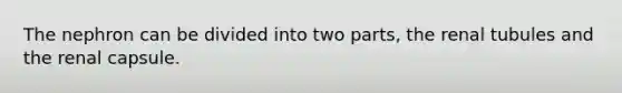 The nephron can be divided into two parts, the renal tubules and the renal capsule.