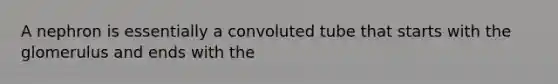 A nephron is essentially a convoluted tube that starts with the glomerulus and ends with the