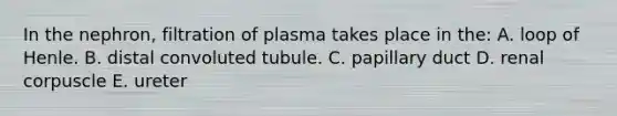 In the nephron, filtration of plasma takes place in the: A. loop of Henle. B. distal convoluted tubule. C. papillary duct D. renal corpuscle E. ureter