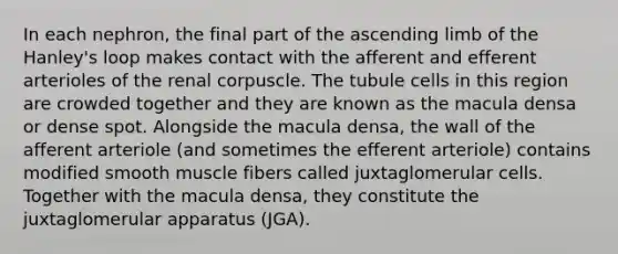 In each nephron, the final part of the ascending limb of the Hanley's loop makes contact with the afferent and efferent arterioles of the renal corpuscle. The tubule cells in this region are crowded together and they are known as the macula densa or dense spot. Alongside the macula densa, the wall of the afferent arteriole (and sometimes the efferent arteriole) contains modified smooth muscle fibers called juxtaglomerular cells. Together with the macula densa, they constitute the juxtaglomerular apparatus (JGA).