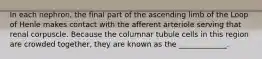 In each nephron, the final part of the ascending limb of the Loop of Henle makes contact with the afferent arteriole serving that renal corpuscle. Because the columnar tubule cells in this region are crowded together, they are known as the _____________.