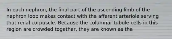 In each nephron, the final part of the ascending limb of the nephron loop makes contact with the afferent arteriole serving that renal corpuscle. Because the columnar tubule cells in this region are crowded together, they are known as the