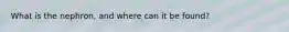 What is the nephron, and where can it be found?