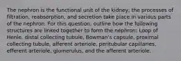 The nephron is the functional unit of the kidney; the processes of filtration, reabsorption, and secretion take place in various parts of the nephron. For this question, outline how the following structures are linked together to form the nephron: Loop of Henle, distal collecting tubule, Bowman's capsule, proximal collecting tubule, afferent arteriole, peritubular capillaries, efferent arteriole, glomerulus, and the afferent arteriole.