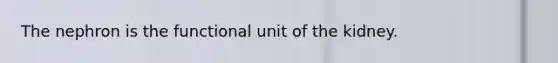The nephron is the functional unit of the kidney.