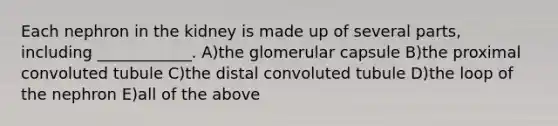 Each nephron in the kidney is made up of several parts, including ____________. A)the glomerular capsule B)the proximal convoluted tubule C)the distal convoluted tubule D)the loop of the nephron E)all of the above