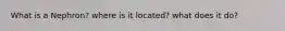 What is a Nephron? where is it located? what does it do?