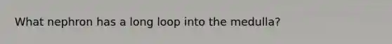 What nephron has a long loop into the medulla?
