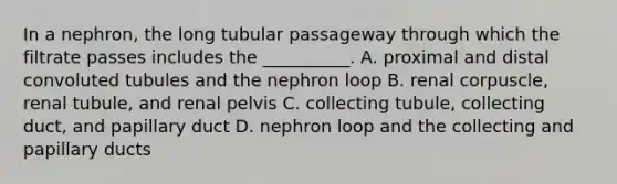 In a nephron, the long tubular passageway through which the filtrate passes includes the __________. A. proximal and distal convoluted tubules and the nephron loop B. renal corpuscle, renal tubule, and renal pelvis C. collecting tubule, collecting duct, and papillary duct D. nephron loop and the collecting and papillary ducts