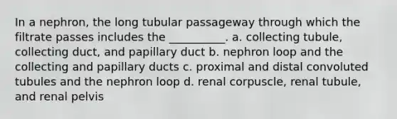 In a nephron, the long tubular passageway through which the filtrate passes includes the __________. a. collecting tubule, collecting duct, and papillary duct b. nephron loop and the collecting and papillary ducts c. proximal and distal convoluted tubules and the nephron loop d. renal corpuscle, renal tubule, and renal pelvis