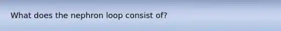 What does the nephron loop consist of?