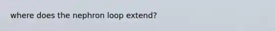 where does the nephron loop extend?