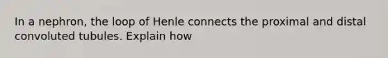 In a nephron, the loop of Henle connects the proximal and distal convoluted tubules. Explain how