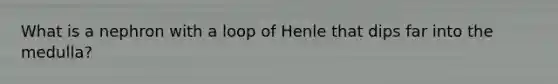 What is a nephron with a loop of Henle that dips far into the medulla?