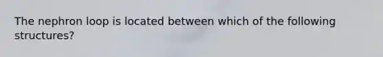 The nephron loop is located between which of the following structures?
