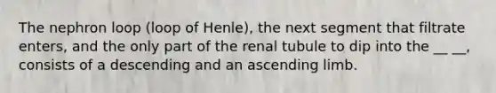 The nephron loop (loop of Henle), the next segment that filtrate enters, and the only part of the renal tubule to dip into the __ __, consists of a descending and an ascending limb.