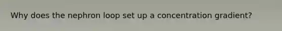 Why does the nephron loop set up a concentration gradient?
