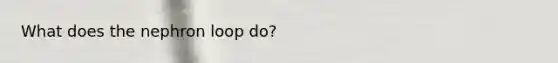 What does the nephron loop do?