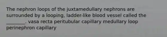 The nephron loops of the juxtamedullary nephrons are surrounded by a looping, ladder-like blood vessel called the ________. vasa recta peritubular capillary medullary loop perinephron capillary