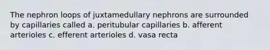 The nephron loops of juxtamedullary nephrons are surrounded by capillaries called a. peritubular capillaries b. afferent arterioles c. efferent arterioles d. vasa recta