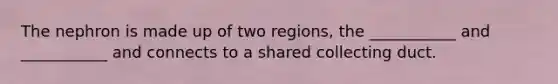 The nephron is made up of two regions, the ___________ and ___________ and connects to a shared collecting duct.