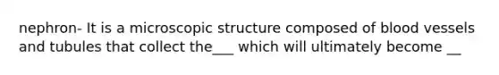 nephron- It is a microscopic structure composed of blood vessels and tubules that collect the___ which will ultimately become __