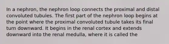 In a nephron, the nephron loop connects the proximal and distal convoluted tubules. The first part of the nephron loop begins at the point where the proximal convoluted tubule takes its final turn downward. It begins in the renal cortex and extends downward into the renal medulla, where it is called the