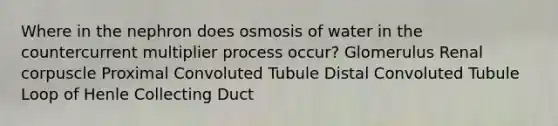 Where in the nephron does osmosis of water in the countercurrent multiplier process occur? Glomerulus Renal corpuscle Proximal Convoluted Tubule Distal Convoluted Tubule Loop of Henle Collecting Duct