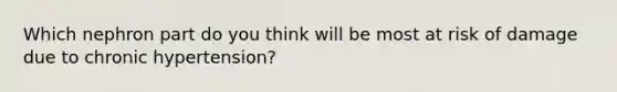 Which nephron part do you think will be most at risk of damage due to chronic hypertension?