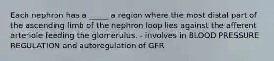 Each nephron has a _____ a region where the most distal part of the ascending limb of the nephron loop lies against the afferent arteriole feeding the glomerulus. - involves in BLOOD PRESSURE REGULATION and autoregulation of GFR