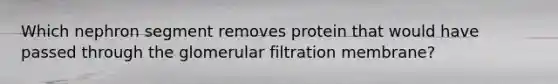 Which nephron segment removes protein that would have passed through the glomerular filtration membrane?