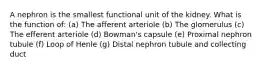 A nephron is the smallest functional unit of the kidney. What is the function of: (a) The afferent arteriole (b) The glomerulus (c) The efferent arteriole (d) Bowman's capsule (e) Proximal nephron tubule (f) Loop of Henle (g) Distal nephron tubule and collecting duct