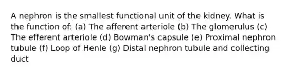 A nephron is the smallest functional unit of the kidney. What is the function of: (a) The afferent arteriole (b) The glomerulus (c) The efferent arteriole (d) Bowman's capsule (e) Proximal nephron tubule (f) Loop of Henle (g) Distal nephron tubule and collecting duct