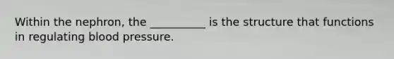 Within the nephron, the __________ is the structure that functions in regulating blood pressure.