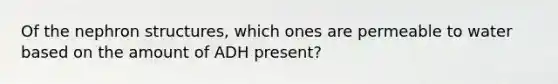 Of the nephron structures, which ones are permeable to water based on the amount of ADH present?