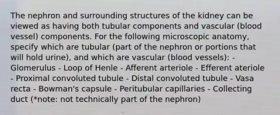 The nephron and surrounding structures of the kidney can be viewed as having both tubular components and vascular (blood vessel) components. For the following microscopic anatomy, specify which are tubular (part of the nephron or portions that will hold urine), and which are vascular (blood vessels): - Glomerulus - Loop of Henle - Afferent arteriole - Efferent ateriole - Proximal convoluted tubule - Distal convoluted tubule - Vasa recta - Bowman's capsule - Peritubular capillaries - Collecting duct (*note: not technically part of the nephron)