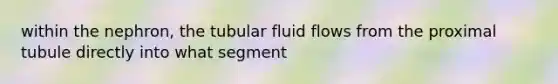 within the nephron, the tubular fluid flows from the proximal tubule directly into what segment