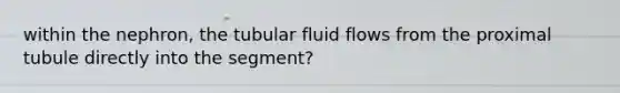 within the nephron, the tubular fluid flows from the proximal tubule directly into the segment?