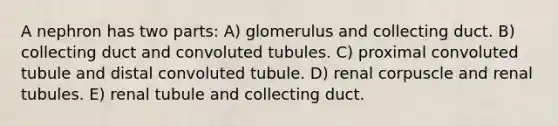 A nephron has two parts: A) glomerulus and collecting duct. B) collecting duct and convoluted tubules. C) proximal convoluted tubule and distal convoluted tubule. D) renal corpuscle and renal tubules. E) renal tubule and collecting duct.