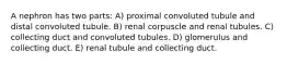 A nephron has two parts: A) proximal convoluted tubule and distal convoluted tubule. B) renal corpuscle and renal tubules. C) collecting duct and convoluted tubules. D) glomerulus and collecting duct. E) renal tubule and collecting duct.