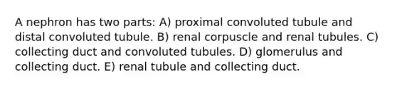 A nephron has two parts: A) proximal convoluted tubule and distal convoluted tubule. B) renal corpuscle and renal tubules. C) collecting duct and convoluted tubules. D) glomerulus and collecting duct. E) renal tubule and collecting duct.