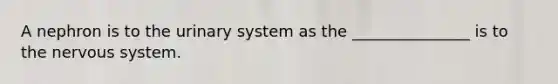 A nephron is to the urinary system as the _______________ is to the <a href='https://www.questionai.com/knowledge/kThdVqrsqy-nervous-system' class='anchor-knowledge'>nervous system</a>.