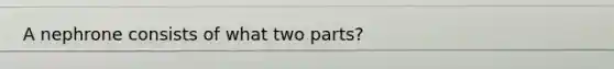 A nephrone consists of what two parts?