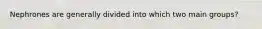 Nephrones are generally divided into which two main groups?