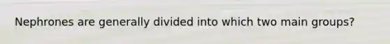 Nephrones are generally divided into which two main groups?