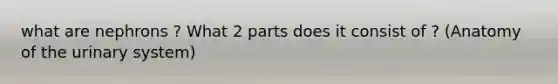 what are nephrons ? What 2 parts does it consist of ? (Anatomy of the urinary system)