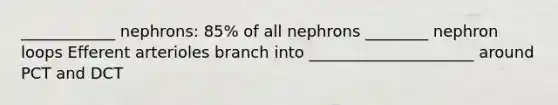 ____________ nephrons: 85% of all nephrons ________ nephron loops Efferent arterioles branch into _____________________ around PCT and DCT